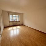 Rent 1 bedroom apartment in Olten