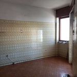 Rent 4 bedroom apartment of 140 m² in Ostuni