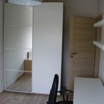 Rent 3 bedroom apartment of 50 m² in Warszawa