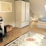 Rent 3 bedroom apartment of 75 m² in Ilmenau