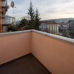 Rent 1 bedroom apartment of 100 m² in Brno