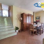 Rent 4 bedroom house of 150 m² in Massa