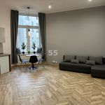 Rent 1 bedroom apartment of 30 m² in Łódź