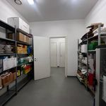 Rent 5 bedroom apartment of 370 m² in Nichelino