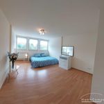 Rent 4 bedroom apartment of 140 m² in Braunschweig
