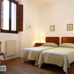 Rent 2 bedroom apartment of 58 m² in Firenze
