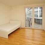 Rent 1 bedroom apartment of 26 m² in Dresden