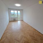 Rent 2 bedroom apartment of 53 m² in Sokolov