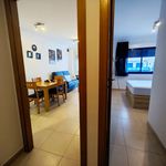 Rent 1 bedroom apartment of 52 m² in Alicante