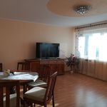 Rent 2 bedroom apartment of 49 m² in Bełchatów