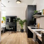 Rent 1 bedroom apartment of 18 m² in Kraków