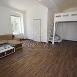 Rent 1 bedroom apartment of 50 m² in Potěhy