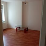 Rent 1 bedroom apartment of 39 m² in Ústí nad Labem