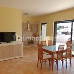 Rent 3 bedroom apartment of 95 m² in Belvedere Marittimo