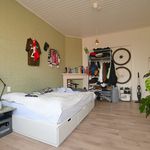 Rent 4 bedroom apartment of 70 m² in Groningen