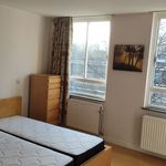 Rent 4 bedroom apartment of 78 m² in 's-Gravenhage