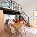 Rent 1 bedroom house of 55 m² in Vercelli