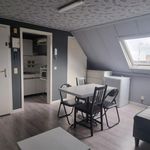 Rent 1 bedroom apartment of 15 m² in Hasselt
