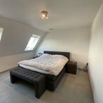Rent 2 bedroom apartment in Beerse