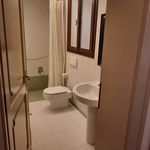 Affitto 1 camera appartamento di 80 m² in Padova