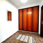 Rent a room of 150 m² in Cartagena
