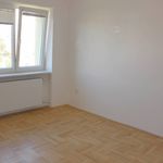 Rent 2 bedroom apartment of 64 m² in Olomouc