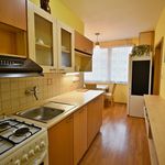 Rent 3 bedroom apartment of 85 m² in Budweis