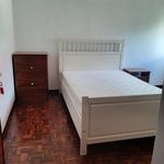 Alugar 4 quarto apartamento em Coimbra