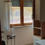 Affitto 3 camera appartamento di 84 m² in Pizzo