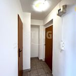 Rent 1 bedroom apartment of 33 m² in Ostrava