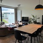 appartement avec 1 chambre(s) en location à Zedelgem