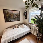 Rent 1 bedroom apartment of 39 m² in Olomouc