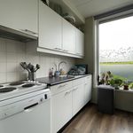 Rent 3 bedroom house of 138 m² in Drukkersbuurt