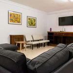 Alquilo 1 dormitorio apartamento de 23 m² en Granada