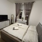 Pronajměte si 1 ložnic/e byt o rozloze 41 m² v Praha