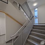Rent 3 bedroom apartment of 58 m² in Chojna