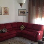 Affitto 5 camera appartamento di 150 m² in Brindisi