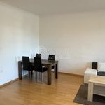 Rent 2 bedroom apartment of 61 m² in Hranice