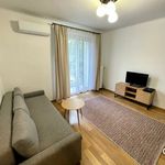 Rent 1 bedroom apartment of 29 m² in Kraków