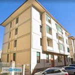 Rent 2 bedroom apartment of 48 m² in Firenze