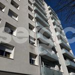 Rent 4 bedroom apartment of 70 m² in Reims
