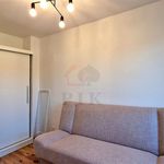 Rent 1 bedroom apartment of 25 m² in Gliwice
