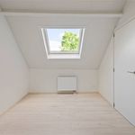Rent 2 bedroom house of 199 m² in Ranst