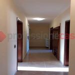 Rent 2 bedroom apartment of 75 m² in Cervaro
