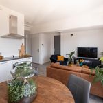 Rent 1 bedroom apartment in Capelle Aan Den Ijssel