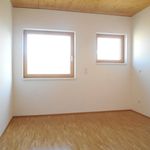 Miete 3 Schlafzimmer wohnung von 56 m² in Graz