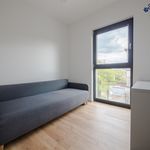 Rent 3 bedroom apartment of 62 m² in Bielsko-biała