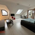 Rent 2 bedroom apartment of 35 m² in Mannheim