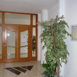 Rent 1 bedroom apartment of 163 m² in Prague