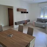 Affitto 3 camera appartamento di 120 m² in Modena